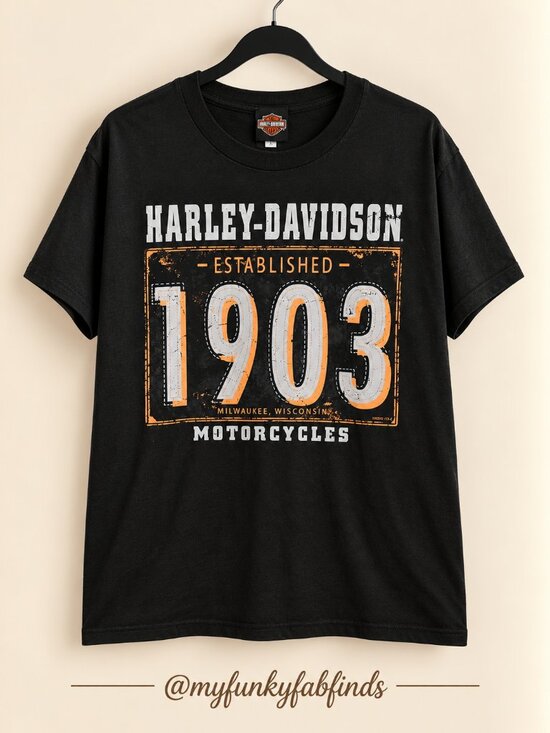 Harley-Davidson Other - Harley Davidson Men's Graphic T-Shirt Size L Black 1903 NWT